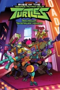 Постер Эволюция Черепашек-ниндзя (Rise of the Teenage Mutant Ninja Turtles)