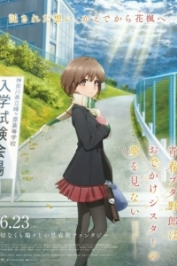Постер Этот глупый свин не понимает мечту сестры на прогулке (Seishun Buta Yarou wa Odekake Sister no Yume wo Minai)