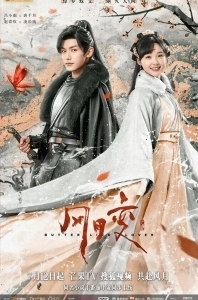 Любовь бабочки 
