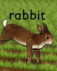 Постер Кролик (Rabbit)