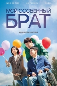 Постер Мой особенный брат (Naui teukbyeolhan hyeongje)