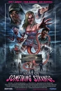 
Странная ночь (2016) 