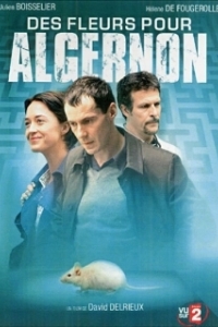
Цветы для Элджернона (2006) 