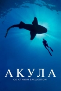 Постер Акула со Стивом Бакшоллом (Shark with Steve Backshall)