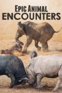 Постер Невероятные встречи с животными (Epic Animal Encounters)
