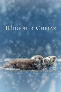 Постер Шпион в снегах (Spy in the Snow)