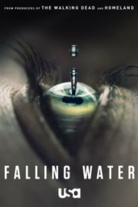 Постер Падающая вода (Falling Water)