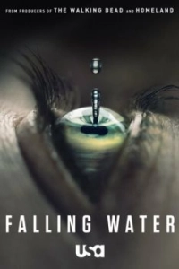 Постер Падающая вода (Falling Water)