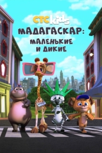 Постер Мадагаскар: Маленькие и дикие (Madagascar: A Little Wild)