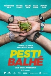 Постер Ограбление в Будапеште (Pesti balhé)