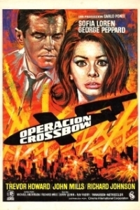 
Операция «Арбалет» (1965) 