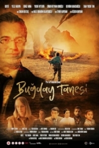 Постер Пшеничное зерно (Bugday Tanesi)