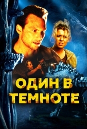 
Один в темноте (2004) 