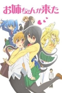 Постер И приехала сестра (Oneechan ga Kita)