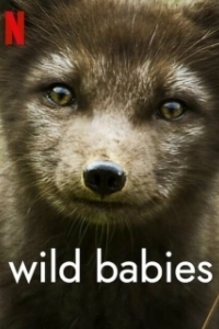 Постер Детки не в клетке (Wild Babies)
