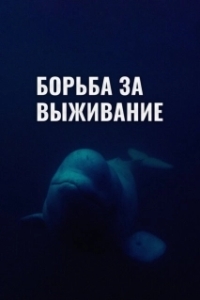 Постер Борьба за выживание (Struggle for survival)
