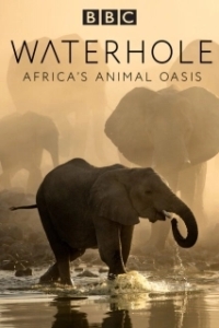 Постер BBC. Водопой: Африканский Оазис для Животных (Waterhole: Africa's Animal Oasis)