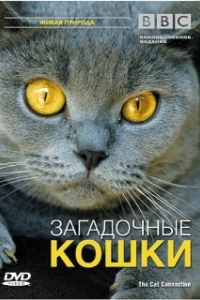 
BBC: Загадочные кошки (2002) 