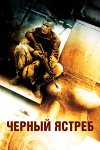 
Чёрный ястреб (2001) 
