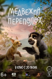 Постер Медвежий переполох (Milagros: Una osa extraordinaria)