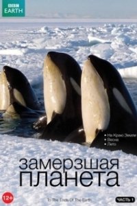 Постер BBC: Замерзшая планета (Frozen Planet)