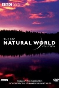 BBC: Живой мир 
