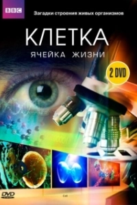 BBC: Клетка 
