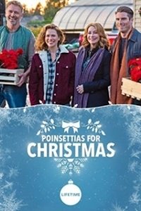 Постер Пуансеттии на Рождество (Poinsettias for Christmas)