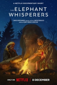 Постер Заклинатели слонов (The Elephant Whisperers)
