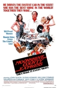 Постер Экспресс в Лунном округе (Moonshine County Express)