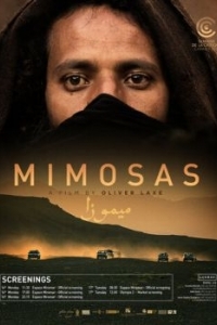 Постер Мимозы (Mimosas)