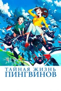 Постер Тайная жизнь пингвинов (Penguin Highway)