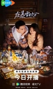 Во время снежной бури 
