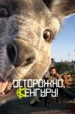 Постер Осторожно, Кенгуру! (2020)