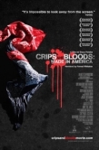 Постер Сделано в Америке (2008)