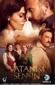 Постер Ты моя Родина (2016)