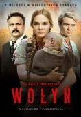 Постер Волынь (2016)