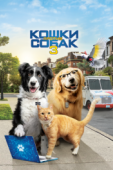 Постер Кошки против собак 3: Лапы, объединяйтесь (2020)