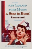 Постер Звезда родилась (1954)