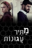 Постер Освободитель соломенных вдов (2019)