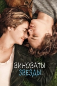 Постер Виноваты звезды (2014)