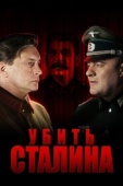 Постер Убить Сталина (2013)