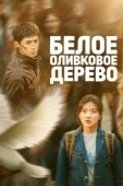 Постер Белое оливковое дерево