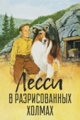 Постер Лесси в разрисованных холмах (1951)