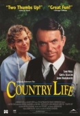 Постер Провинциальный роман (1994)
