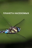 Постер Планета насекомых (2022)