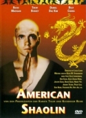 Постер Американский Шаолинь (1991)
