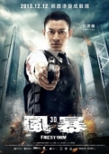 Постер Огненная буря (2013)