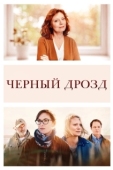 Постер Чёрный дрозд (2019)