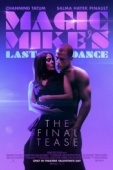 Постер Супер Майк: Последний танец (2023)